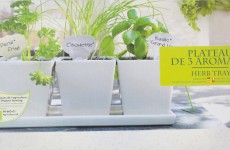 plateau-aromates