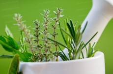 herbes aromatique