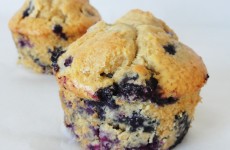 Muffins aux myrtilles fraiches