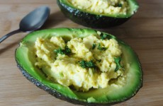 Avocat mimosa