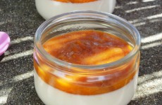 Panna cotta au coulis d abricots