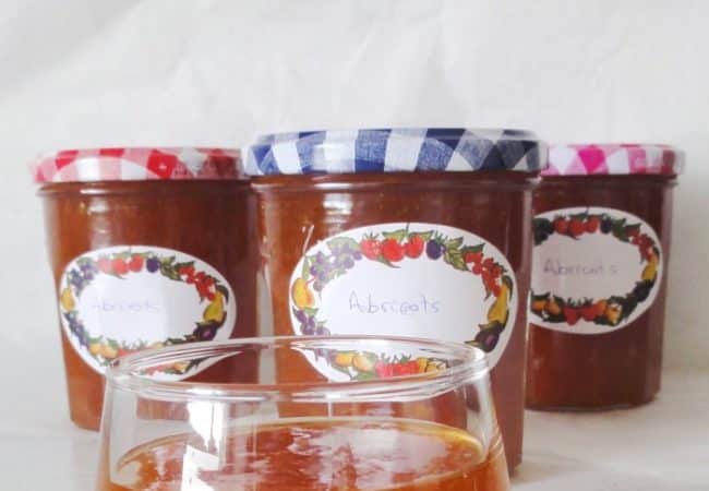 Confiture d’abricots sans morceaux