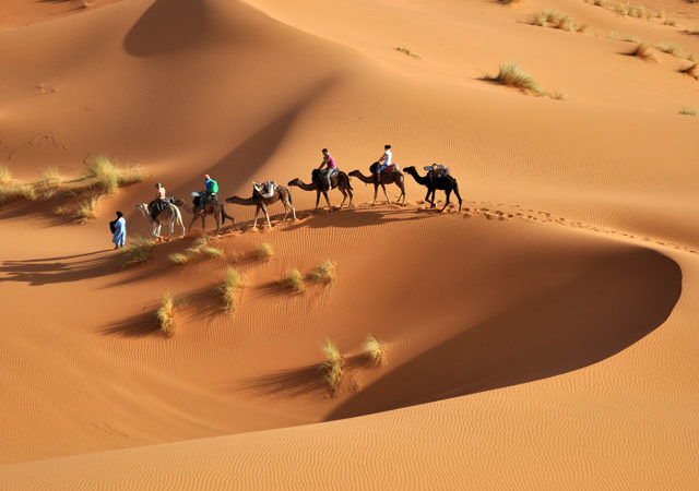 Voyage au coeur du désert tunisien