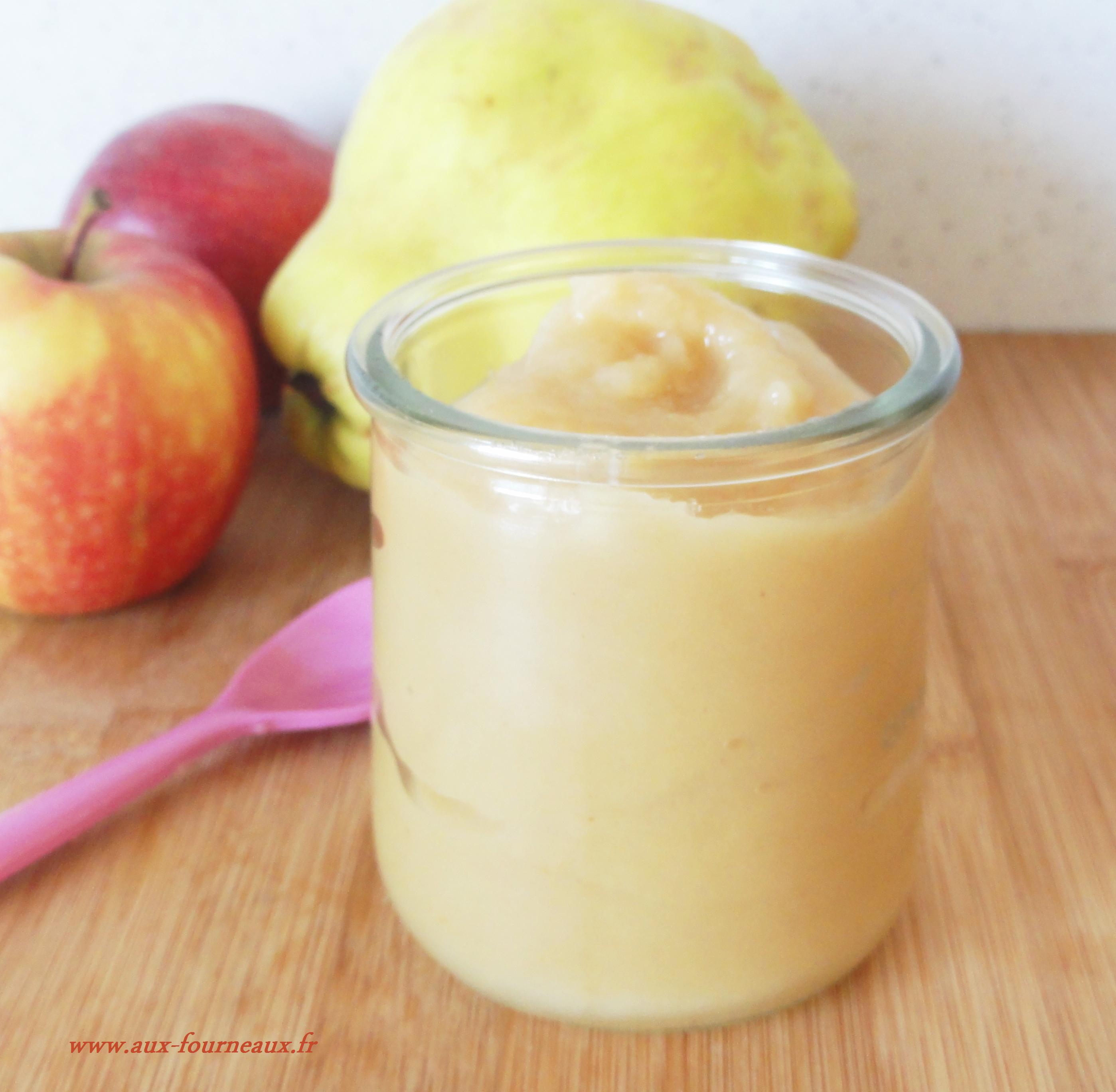 Compote Pomme Coing Pour Bebe Sans Morceaux Aux Fourneaux