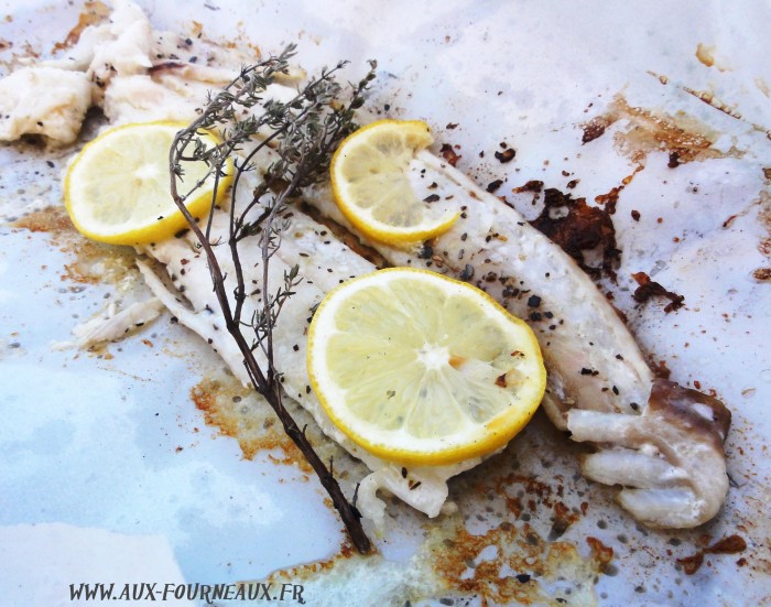 Papillote De Lieu Au Barbecue Aux Fourneaux