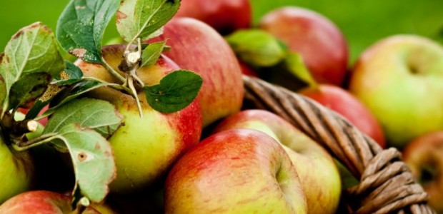 10 recettes succulentes à faire avec des pommes
