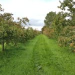 Highbank Organic Apple Farm