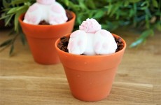 Cupcakes de Pâques cul-cul de lapin