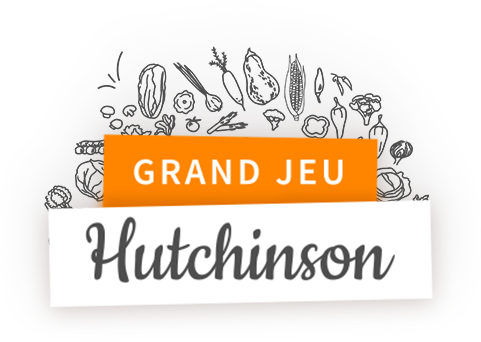 jeu rondelle Hutchinson