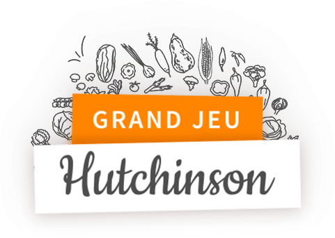 jeu rondelle Hutchinson