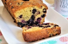 cake moelleux au mure sauvage