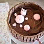 mare aux cochons