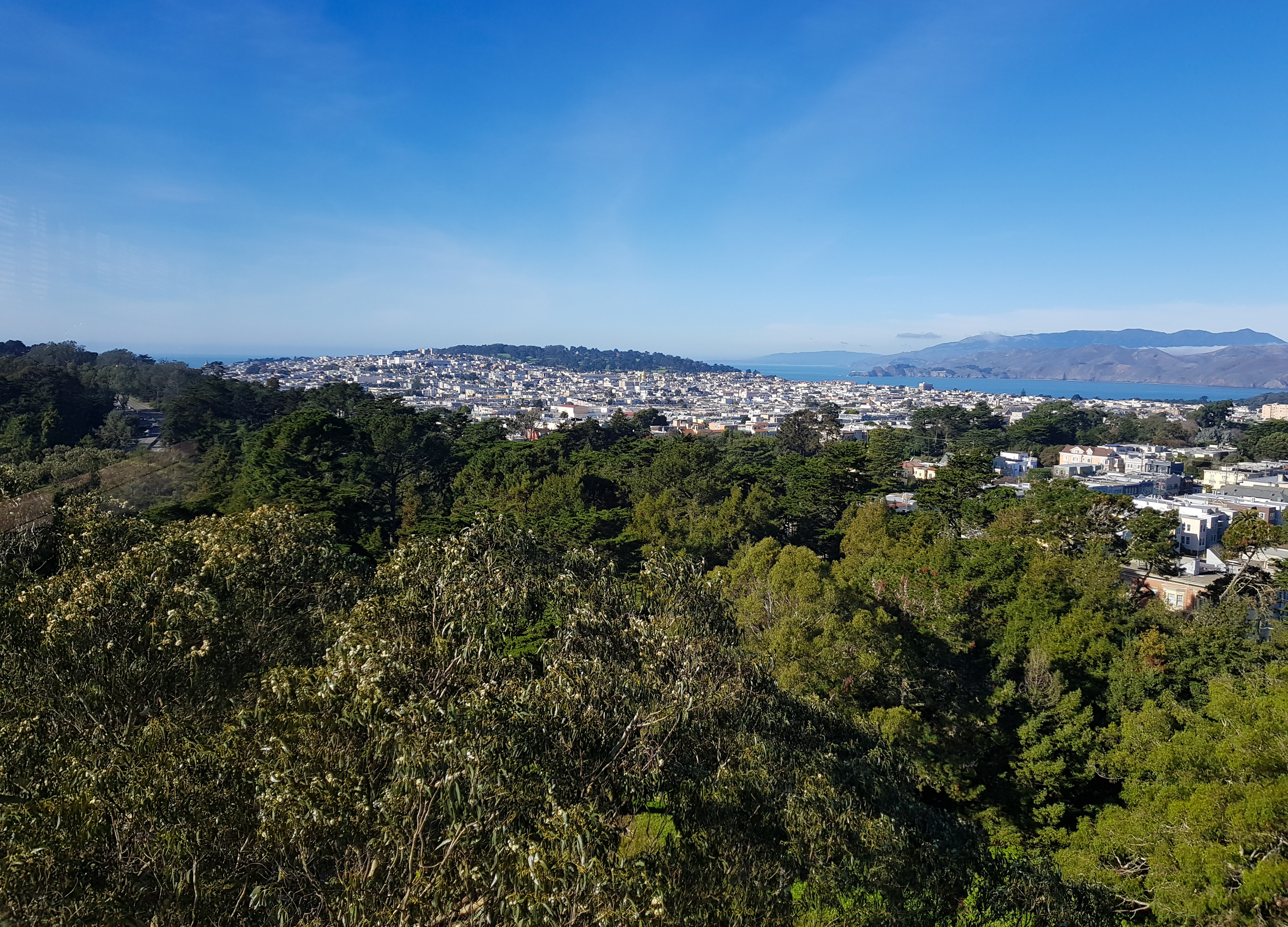 Golden Gate Parc De Young Museum San Francisco