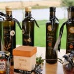 gastronomie cuisine portugal