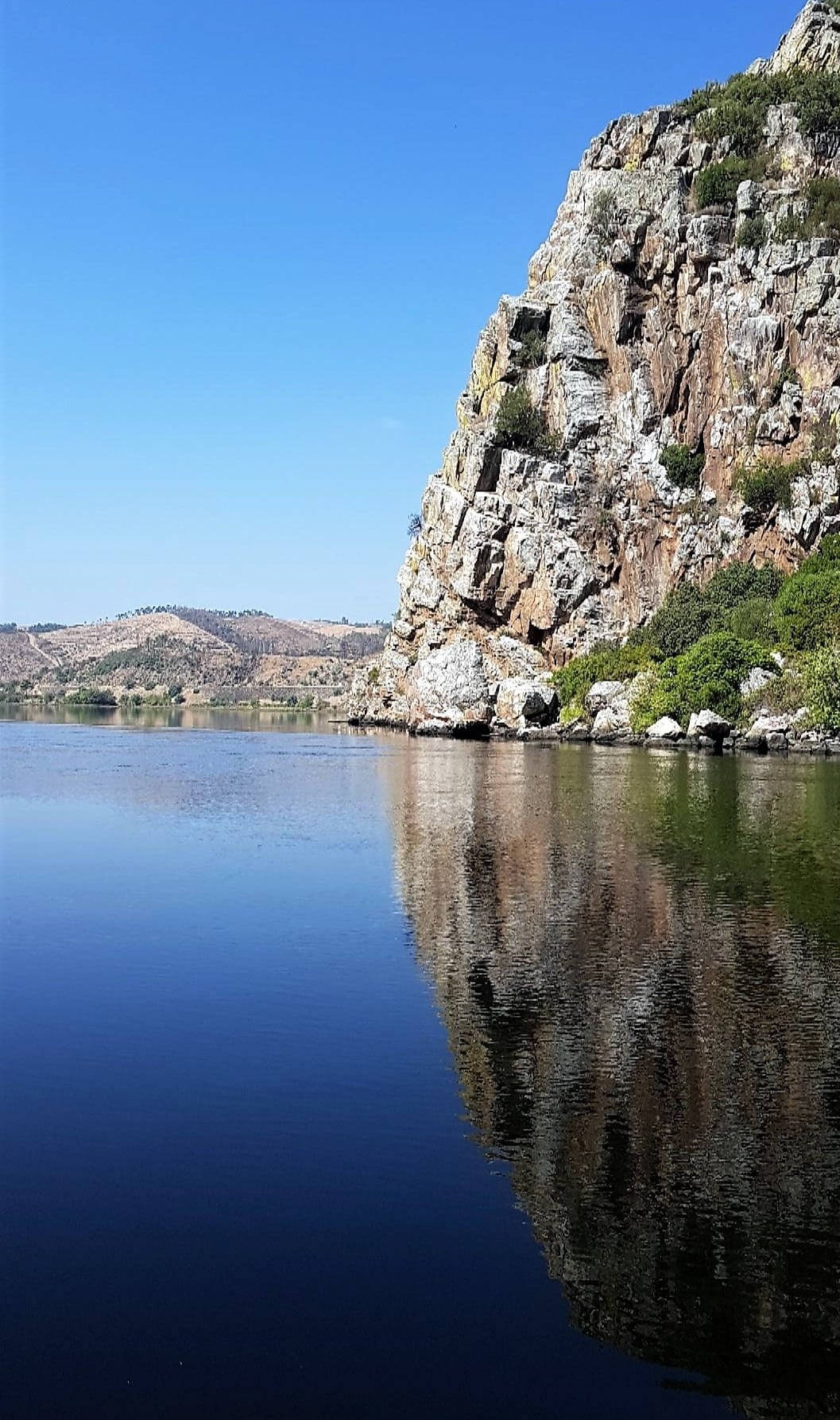 tage gastronomie portugal 