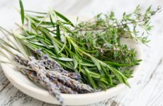 Le top 10 des aliments riche en fer