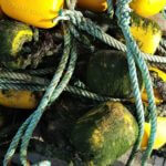 Charente Maritime Ostréiculture et dégustation huître