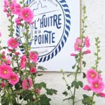 Où déguster des huîtres en Charente-Maritime