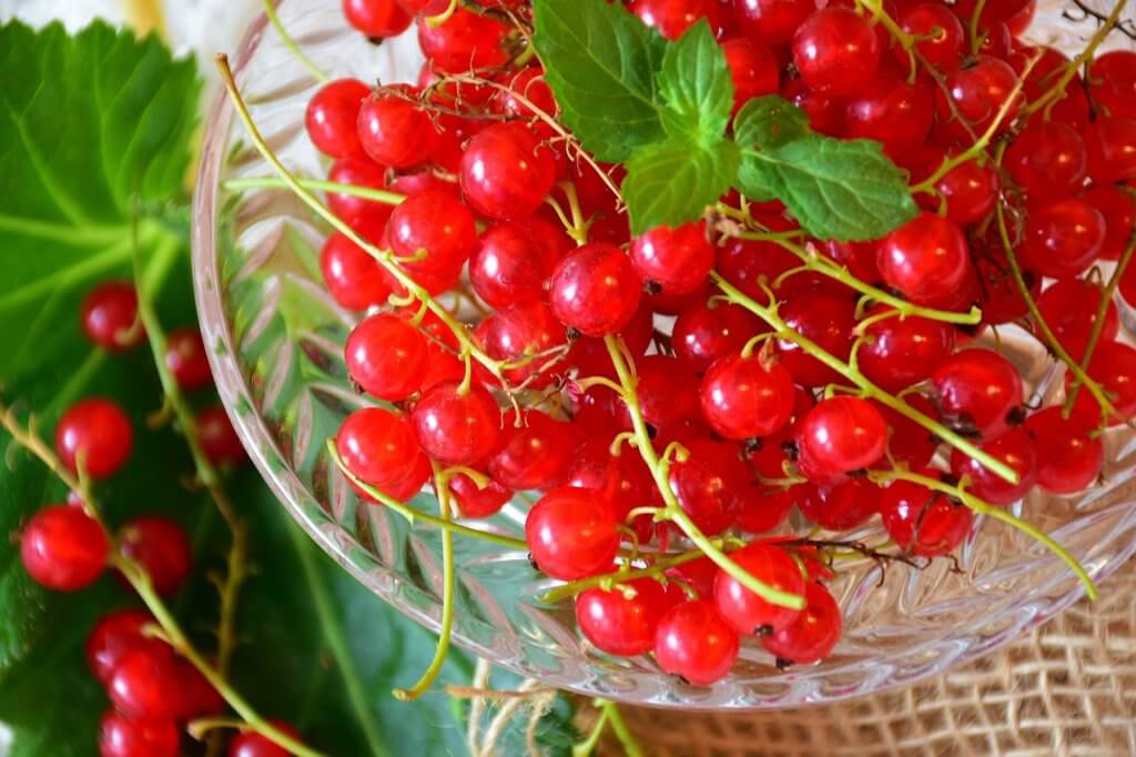 quel fruits pauvre en sucre