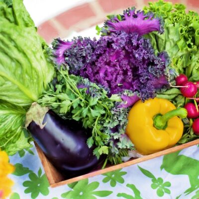 Que manger comme légumes en juin ?