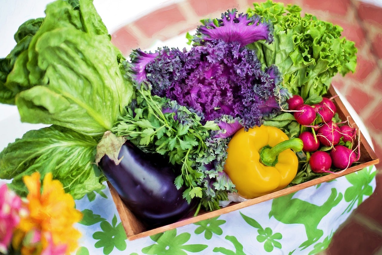Que manger comme légumes en juin