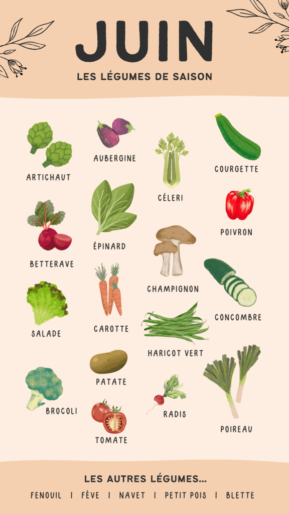 Quels sont les légumes à manger en Juin