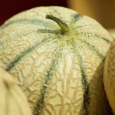 Comment savoir si un melon est bon à manger et comment le choisir ?