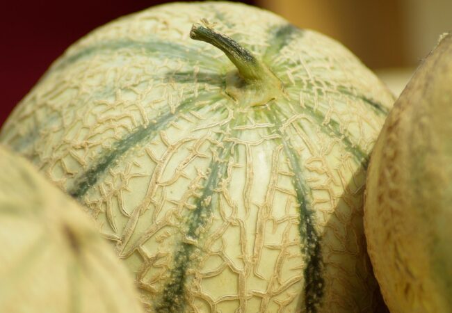 Comment savoir si un melon est bon à manger et comment le choisir ?