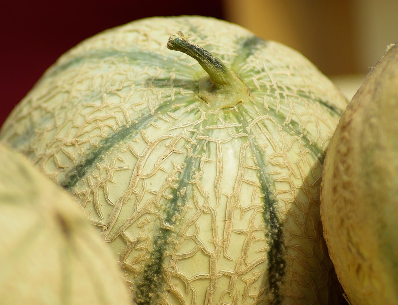 Comment savoir si un melon est bon à manger et comment le choisir