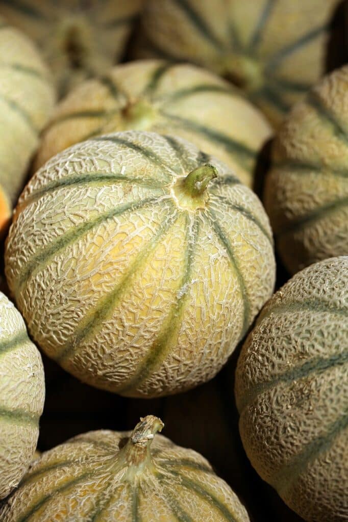 Comment savoir si un melon est bon à manger et comment le choisir