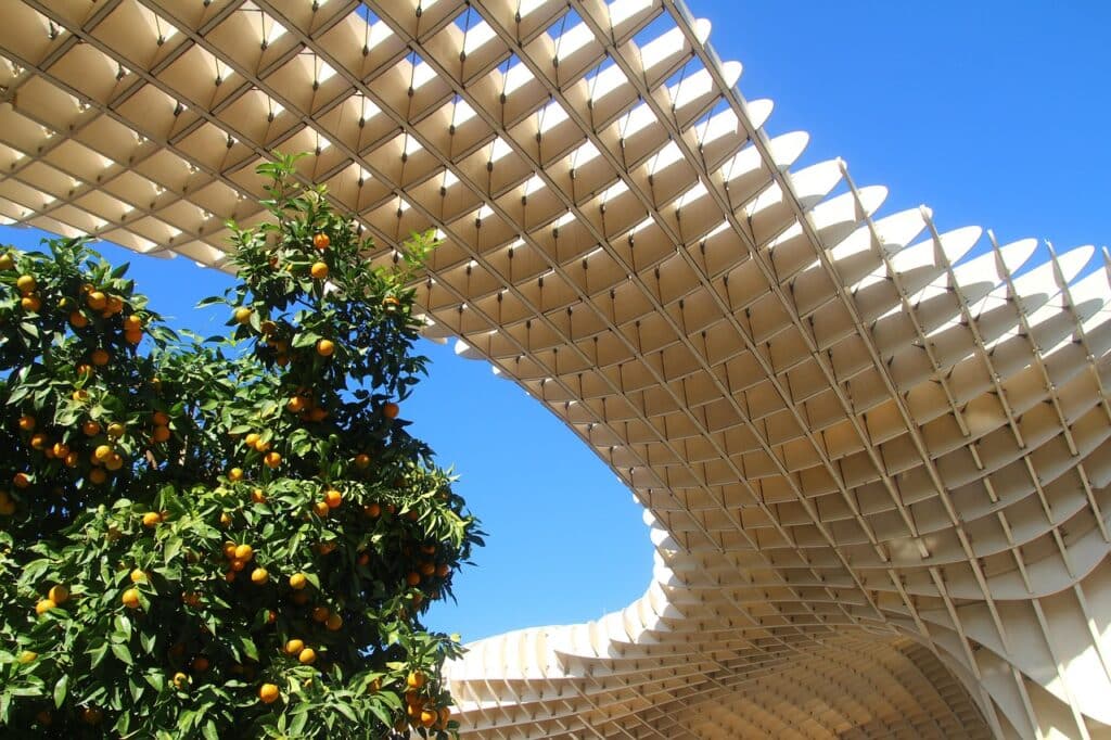 que faire a seville, que visiter Metropol Parasol
