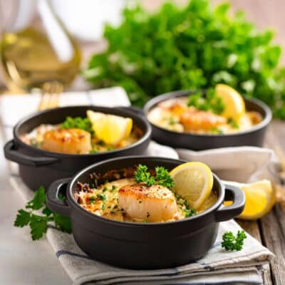 Cassolette de noix de Saint-Jacques gratinée au four, champignons et sauce normande