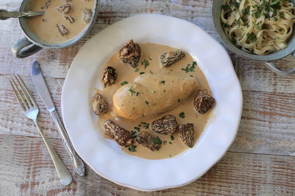 Chicken cooked in cream with Morel Mushrooms sauce on a white plate | Aux Fourneaux Sauce aux morilles facile pour accompagner vos plats de fêtes
