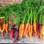 Quels sont les légumes à manger en janvier