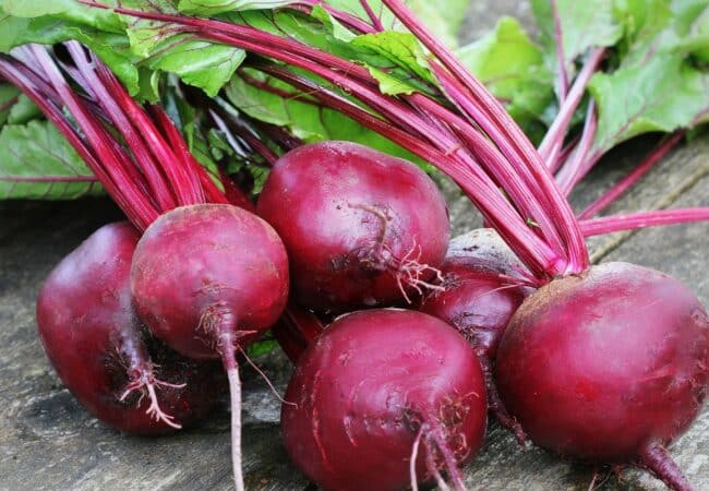 Cuisson des betteraves rouges : au four, à la vapeur ou à l’eau, toutes les méthodes Cuisson des betteraves rouges : au four, à la vapeur ou à l’eau, toutes les méthodes