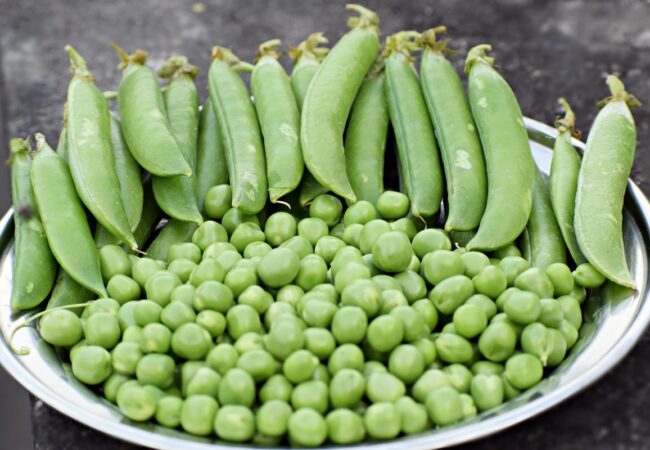Cuisson des petits pois frais Cuisson des petits pois frais