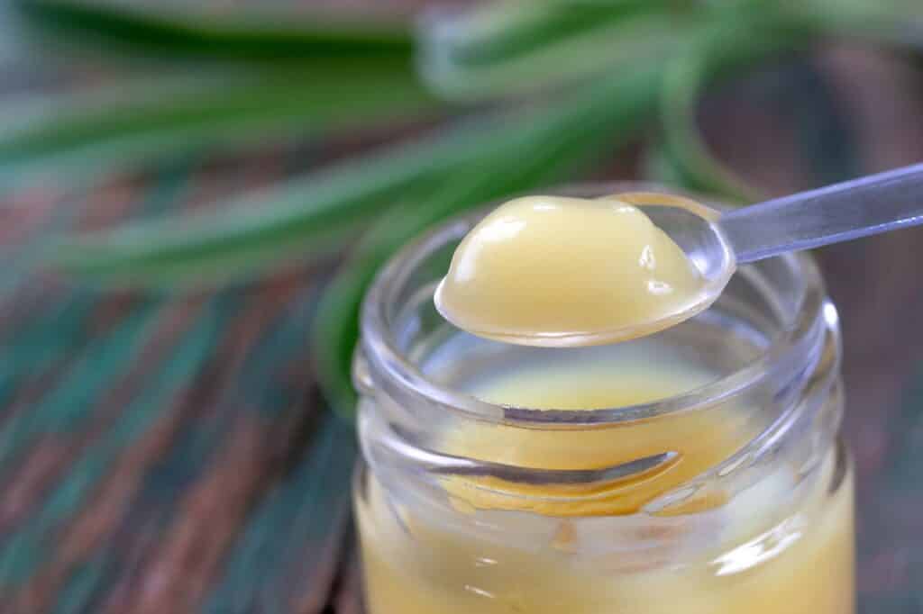 Macro royal jelly in the spoon above the pot | Aux Fourneaux Quels sont les bienfaits de la gelée royale super aliment