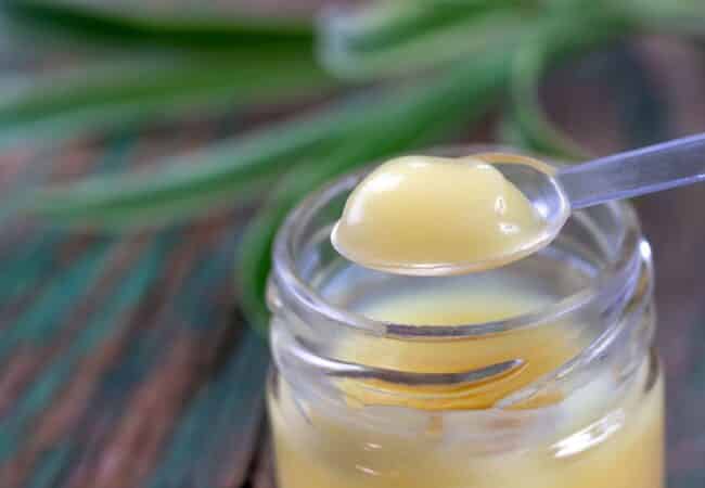 Quels sont les bienfaits de la gelée royale ? Le super aliment pour lutter contre la fatigue Quels sont les bienfaits de la gelée royale ? Le super aliment pour lutter contre la fatigue