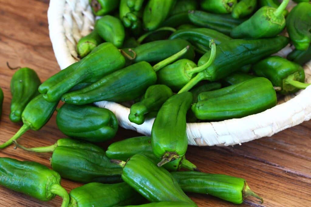 pimientos II | Aux Fourneaux Questions fréquentes sur les Pimientos de Padrón sauté