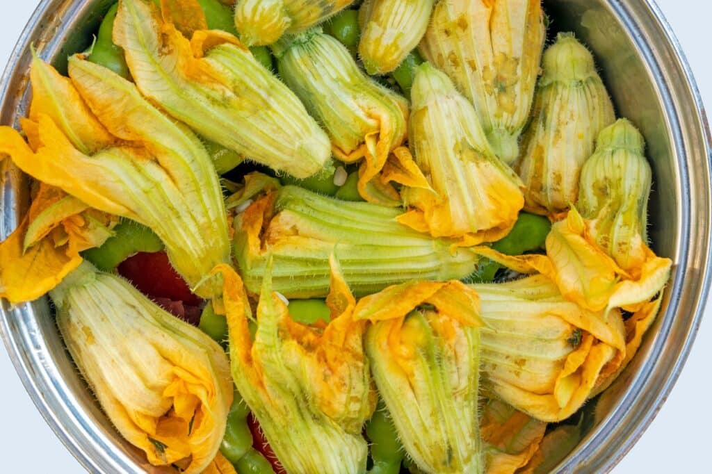 Turkish stuffed flowers of zucchini | Aux Fourneaux Recette italienne de fleurs de courgette farcies à la ricotta