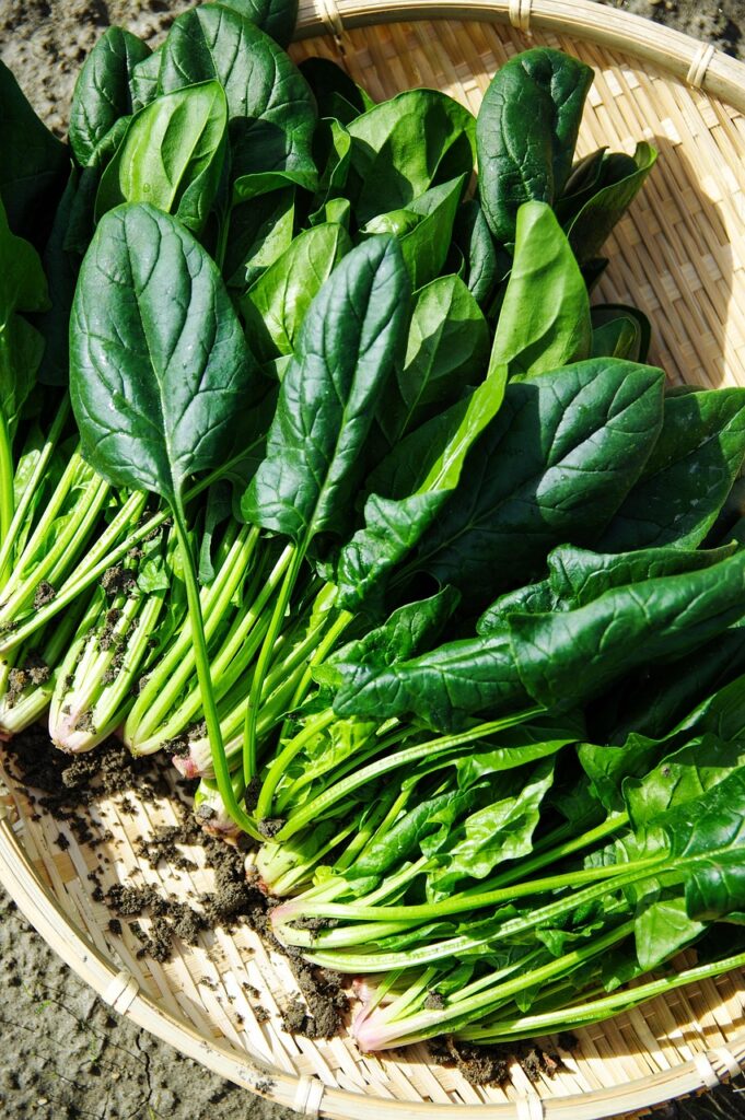 Les légumes un aliment naturellement pauvre en glucides | Aux Fourneaux Quels aliments sont sans glucides ou pauvres en glucides La liste des aliments à privilégier